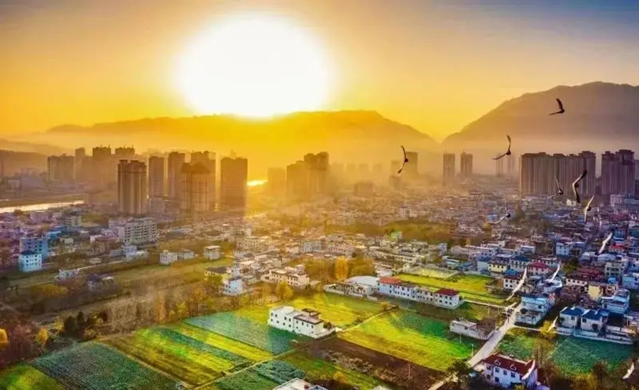 2025-2029年中國(guó)縣域經(jīng)濟(jì)發(fā)展模式深度分析及發(fā)展戰(zhàn)略研究